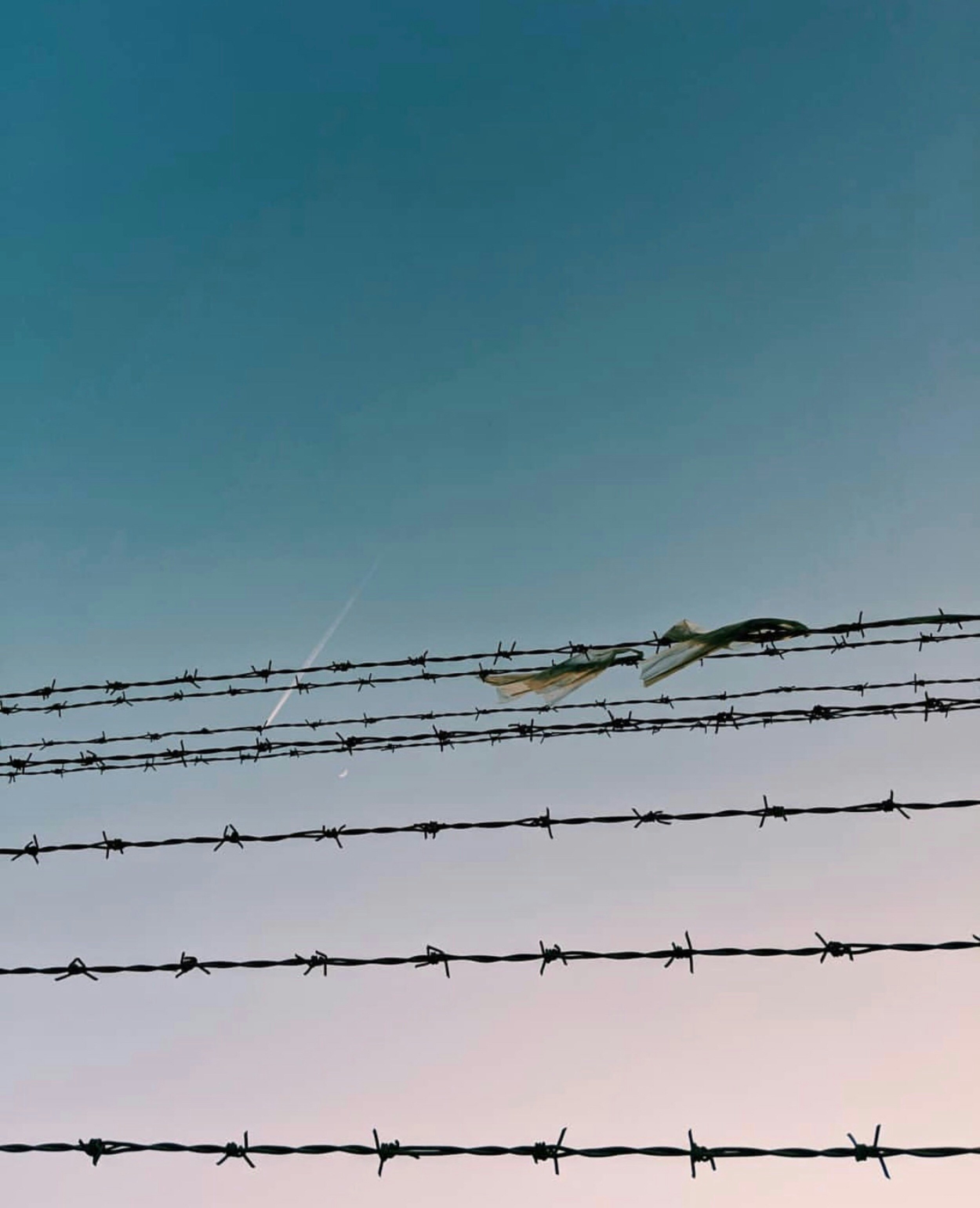 Barbed wire against the sky