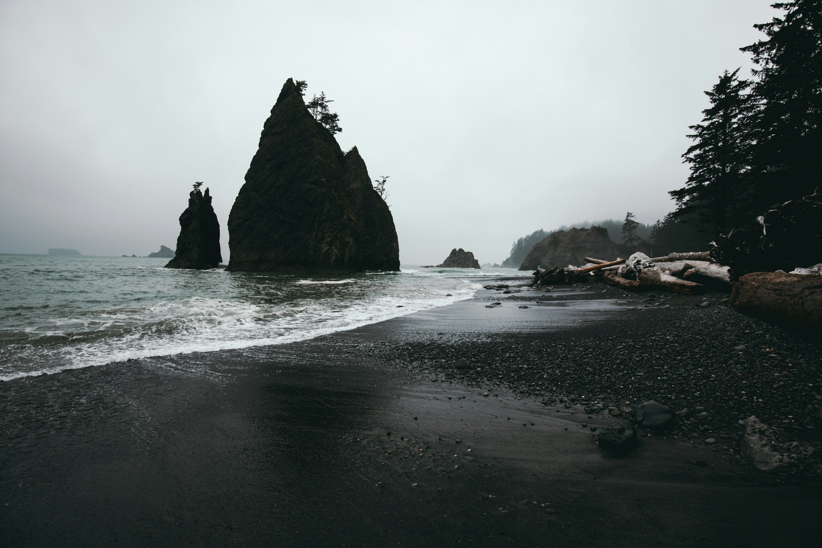 Sea stacks on a misty Pacific Northwest coastline
