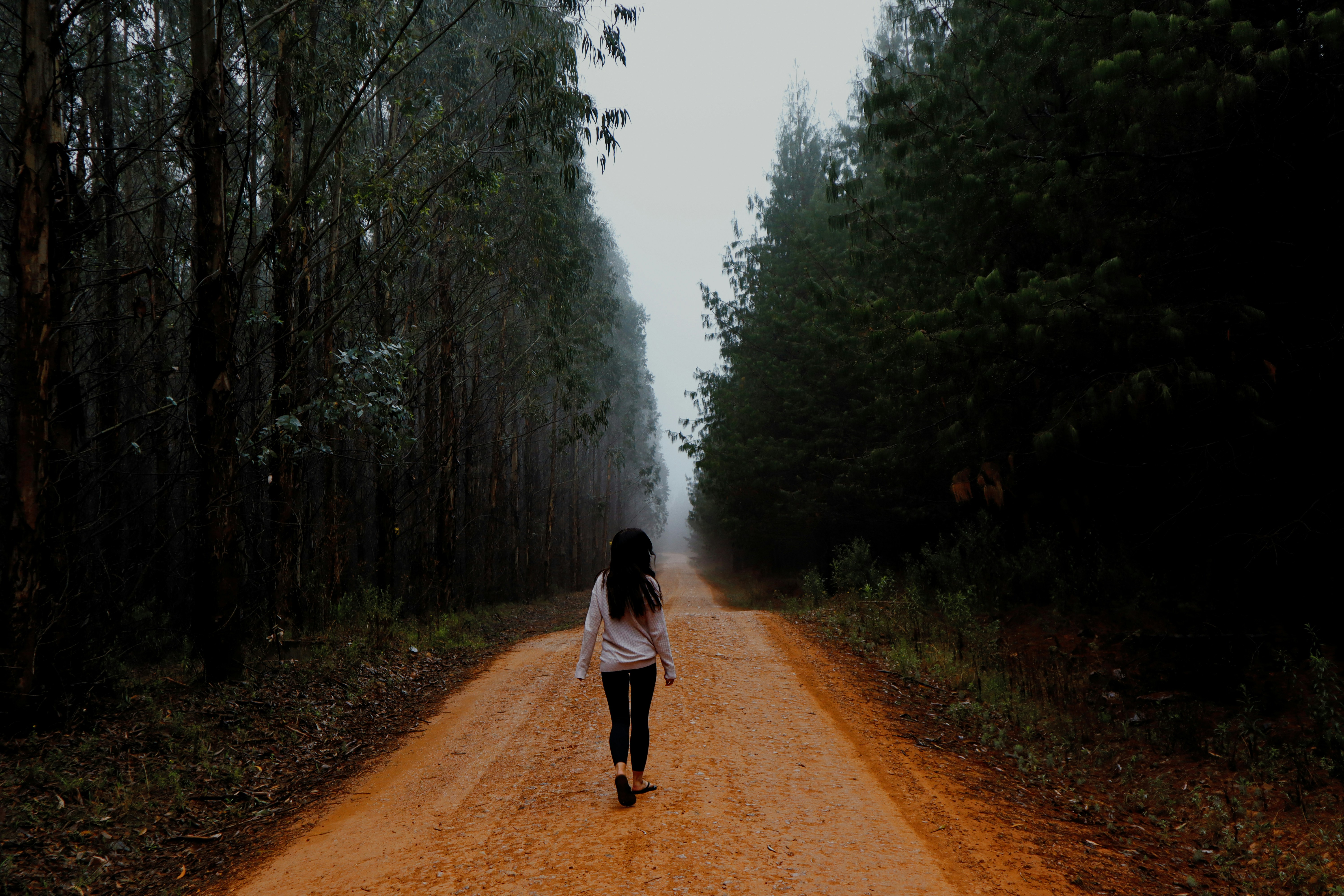 Woman walking alone on a forest road