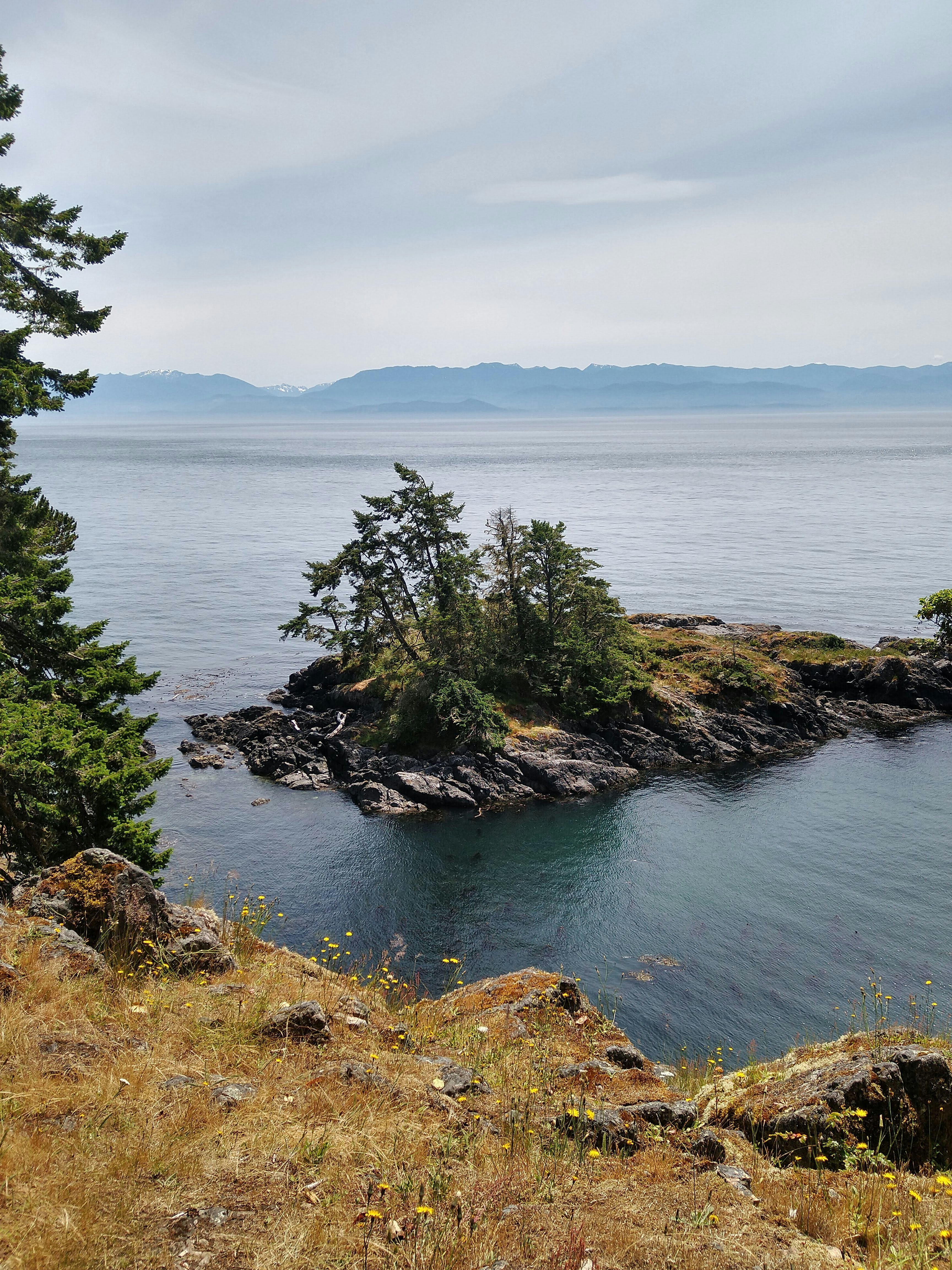 Rocky coastline with a small island and distant mountains