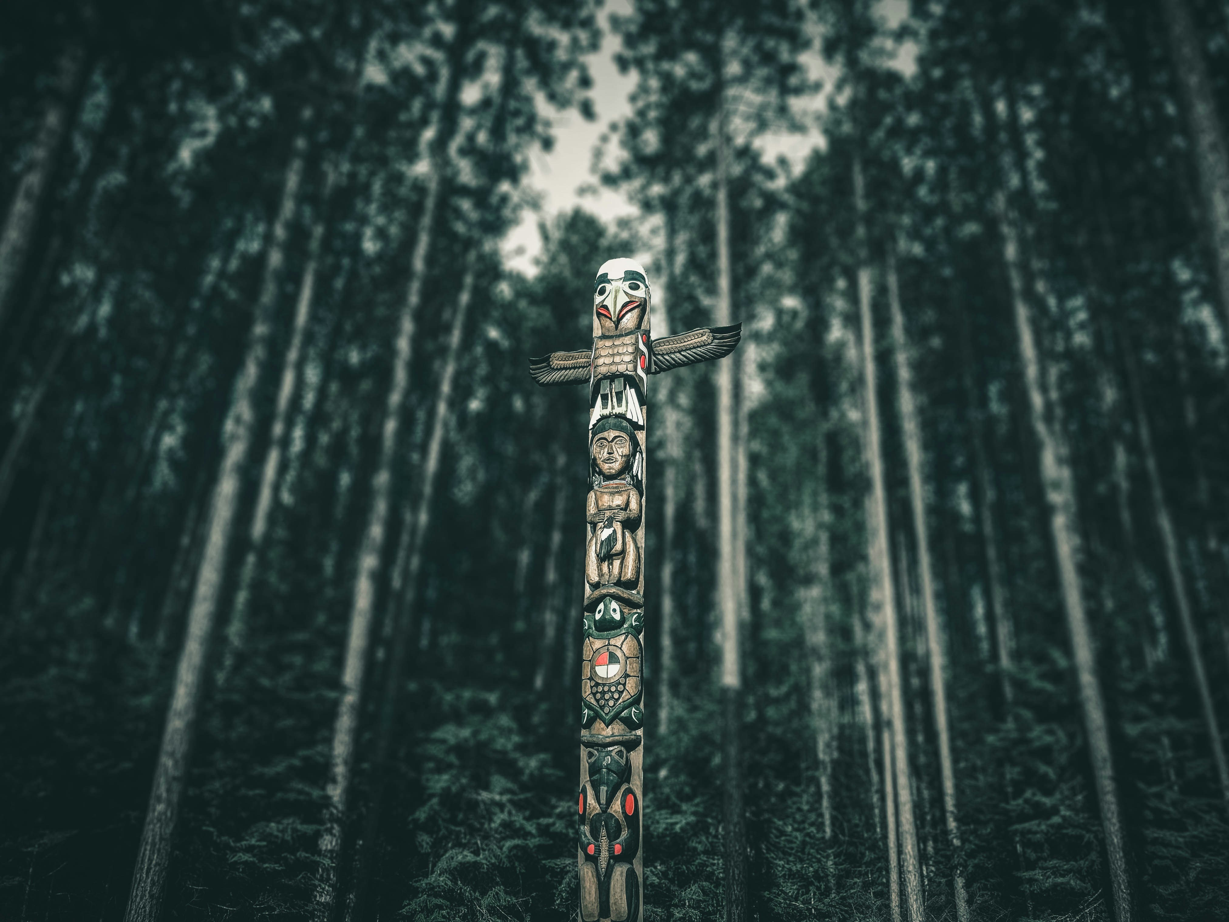 Totem pole among tall trees