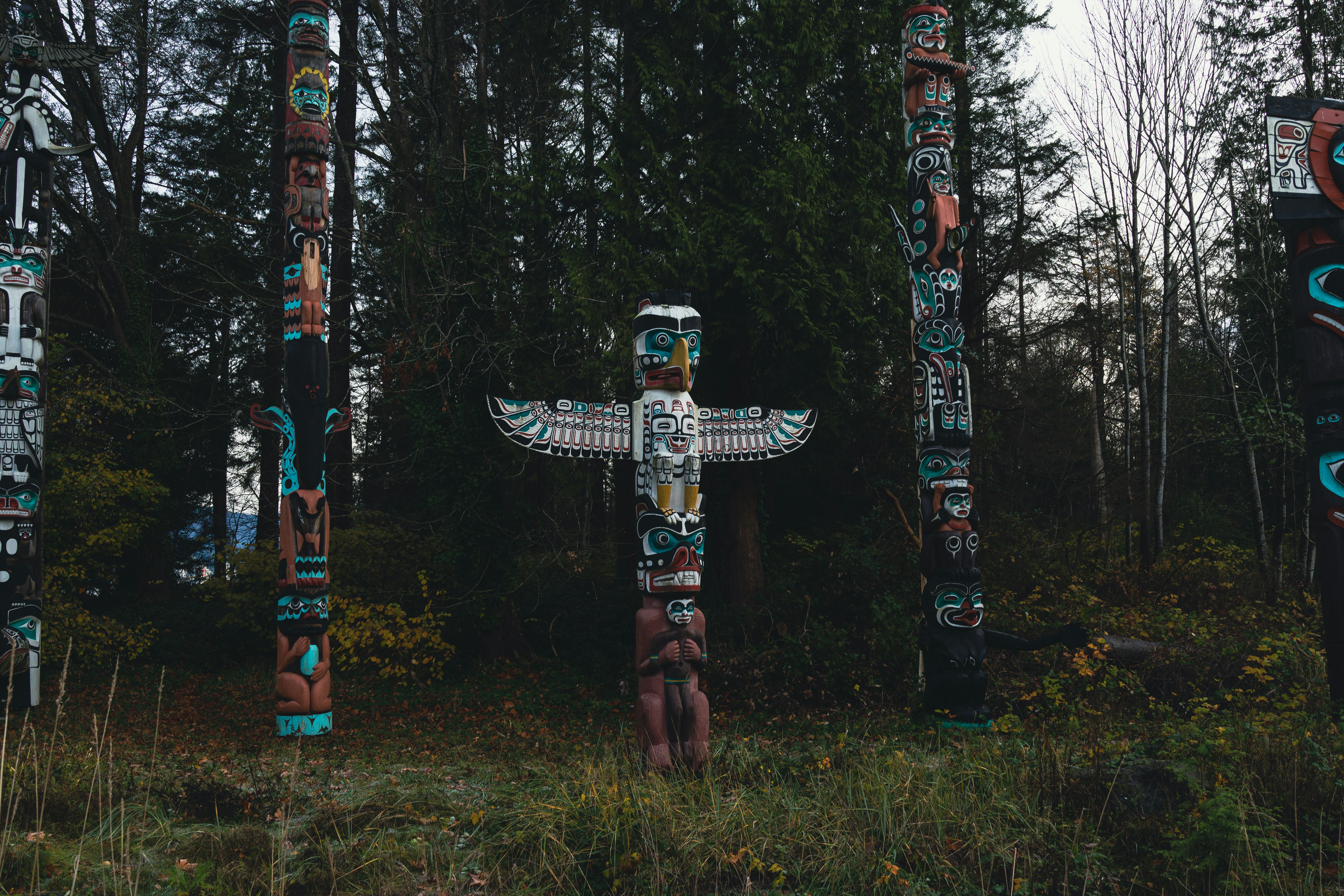 Totem poles in a forest clearing