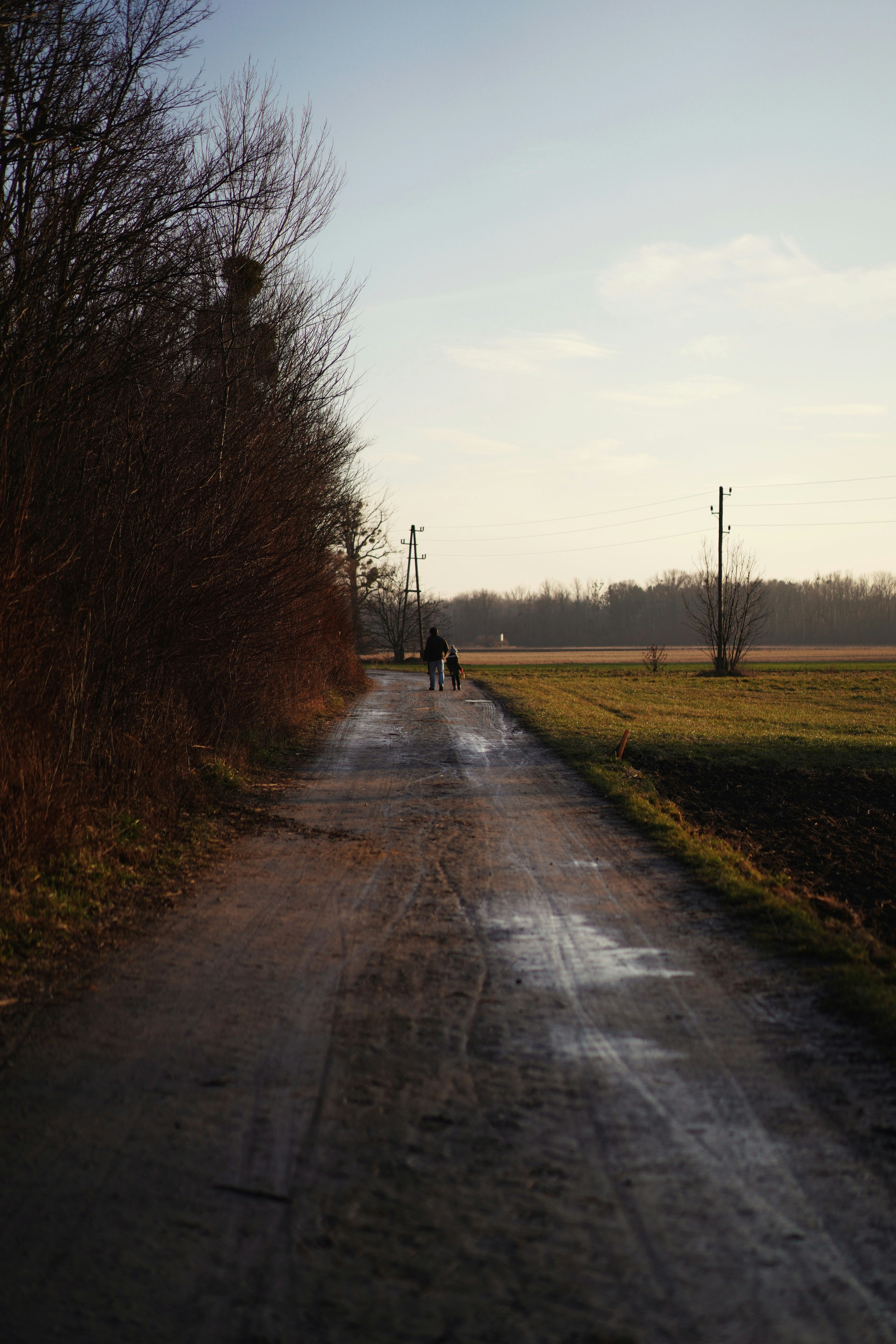Two people walking on a country road at dusk